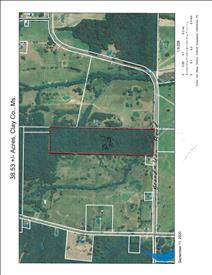 MLS: Q8743091
